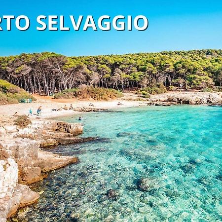 Casa Smeraldo Mare A Sud Di Porto Cesareo Torre Inserraglio 외부 사진